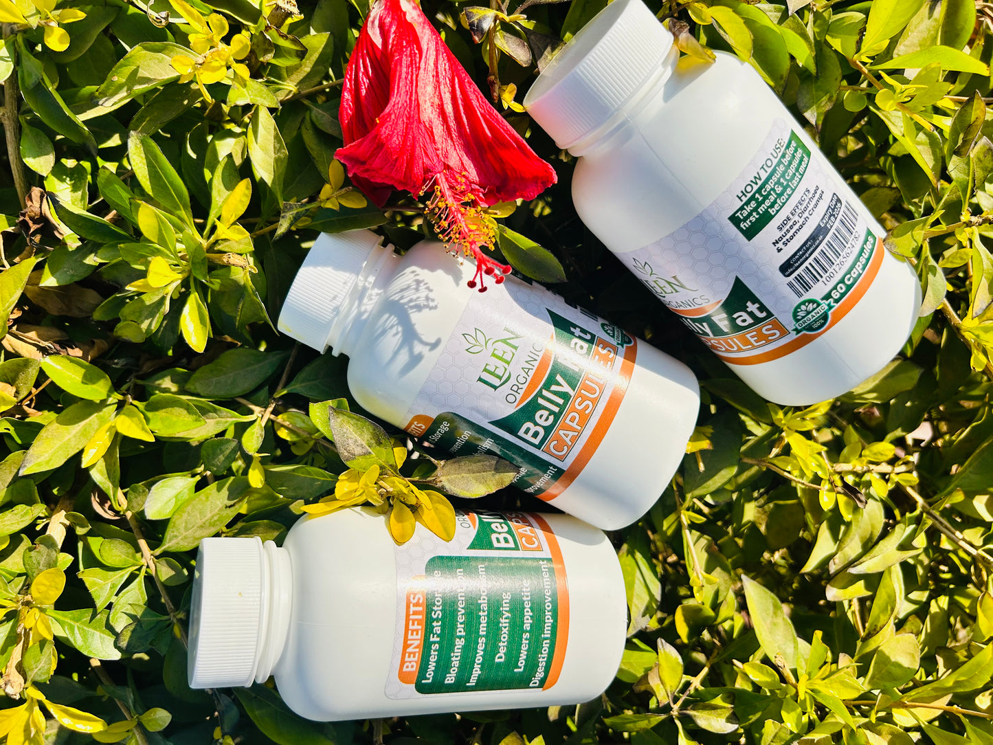 10 Belly fat Capsules